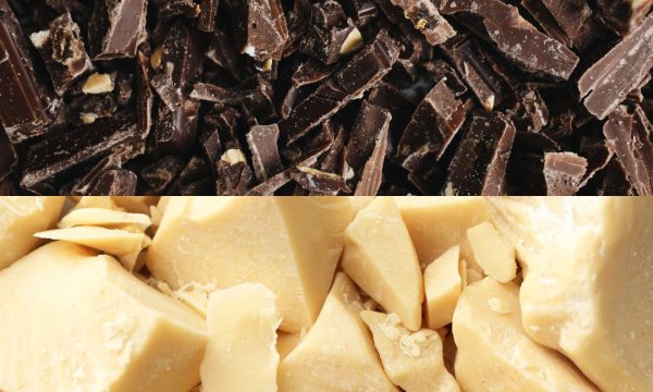 Cacao papa carlos 1