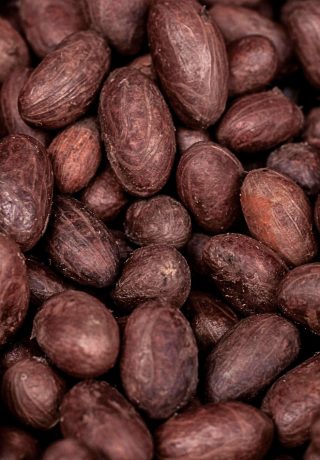 cacao papa carlos